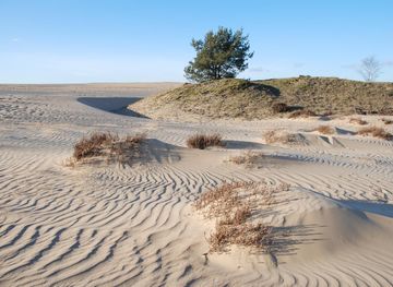 File:Windformations at the sanddunes of the Hoge Veluwe National park  Schaarsbergen - panoramio.jpg - Wikimedia Commons