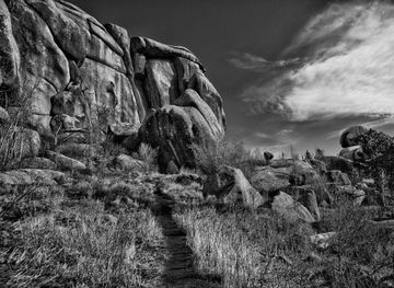 Laramie Plains