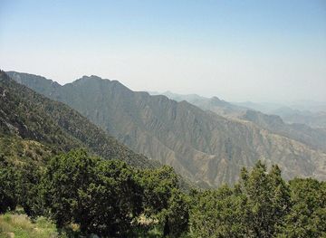 Al Soudah Park