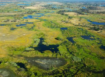 File:Okavango delta - Botswana - panoramio.jpg - Wikimedia Commons