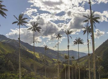 Quindío Department