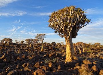 Keetmanshoop