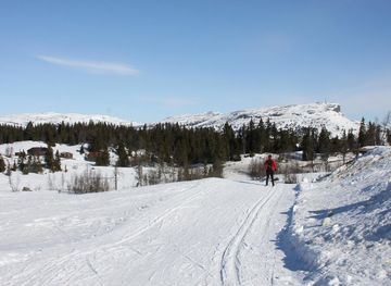 Skeikampen