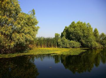Tulcea