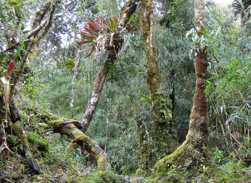 Zamora-Chinchipe Region