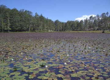 Lura Lakes