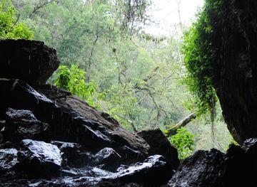 Mount Elgon National Park