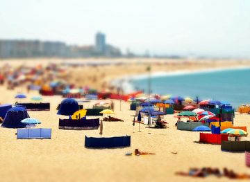 Figueira da Foz