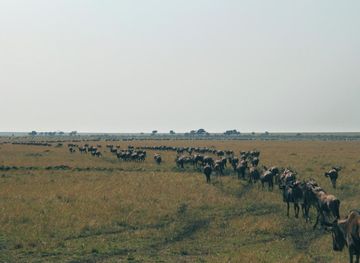 Liuwa Plain