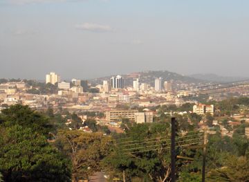 Arua