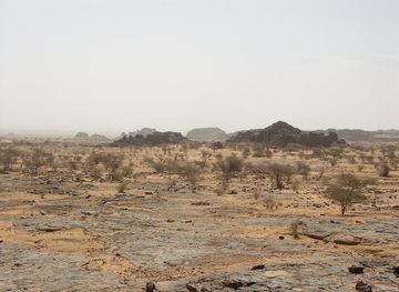 Aoukar