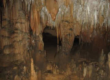 Florida Caverns State Park