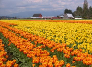 The Skagit Valley