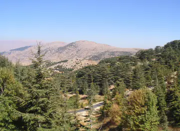 Al Shouf Cedar Nature
