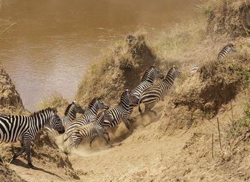 File:Masai Mara National Reserve 20 - Mara river crossing.jpg - Wikimedia  Commons