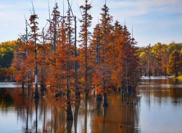 Obion River Valley