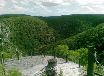 Treinta y Tres