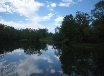 Datoteka:Kopacki rit2.JPG – Wikipedija
