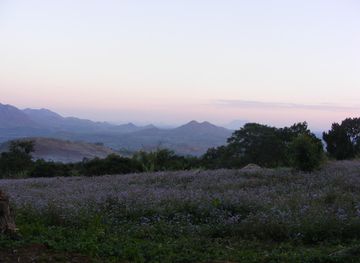 Zomba