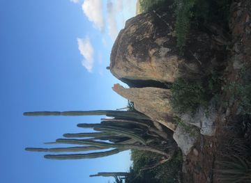 Santa Cruz