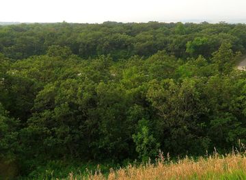 File:Turtle Mountain State Recreational Forest Near International Peace  Garden, North Dakota - 30105213178.jpg - Wikimedia Commons