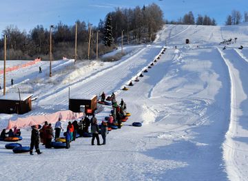 Whitefish