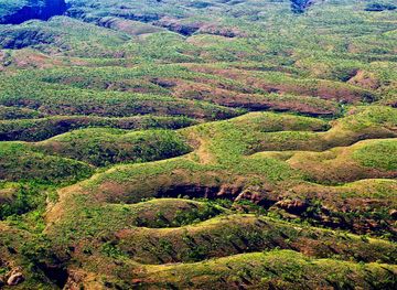 Free Images : landscape, tree, nature, forest, wilderness, mountain, leaf,  hill, flower, river, valley, jungle, scenic, autumn, australia, hills,  vegetation, rainforest, wetland, plantation, plateau, woodland, habitat,  ecosystem, rural area, aerial ...