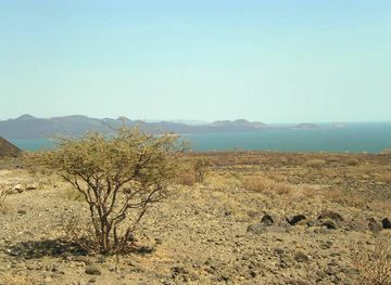 Turkana Basin