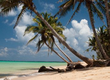 File:Otto Beach, Little Corn Island.jpg - Wikimedia Commons