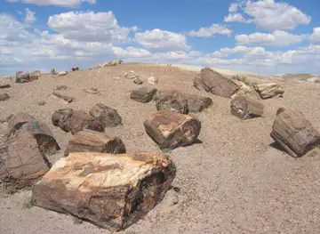 Navajo County