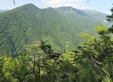 Shikahogh State Reserve