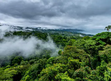 Monteverde