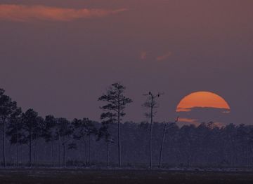 Blackwater National Wildlife Refuge