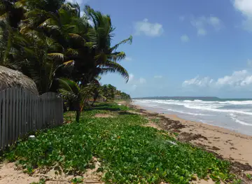 Sangre Grande
