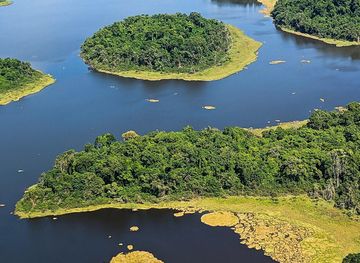 File:Lac Ossa - Réserve de faune du Lac Ossa - Région du Littoral -  Cameroun.jpg - Wikimedia Commons