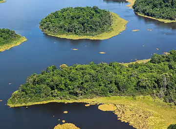 Fly River Basin