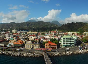 Young Island