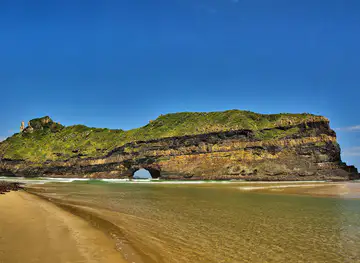Wild Coast