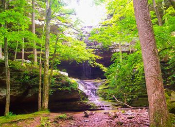 Ferne Clyffe State Park