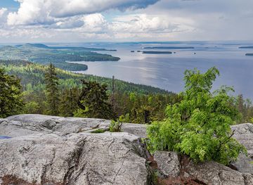 File:Koli National Park, Finland (52160668690).jpg - Wikimedia Commons
