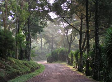 Selva Negra Coffee Estate