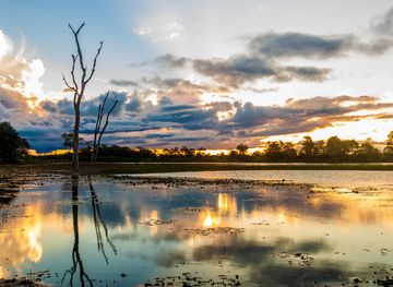 Ficheiro:Pantanal em Mato Grosso Brasil.jpg – Wikipédia, a enciclopédia  livre