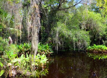 Fakahatchee Strand Preserve State Park