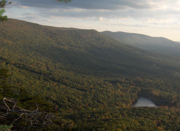 Talladega National Forest