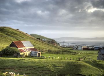 Chatham Islands