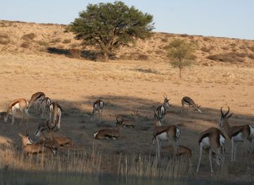 Northern Cape