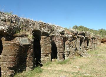 Aripo Caves