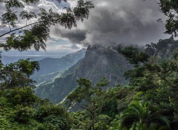 Usambara Mountains