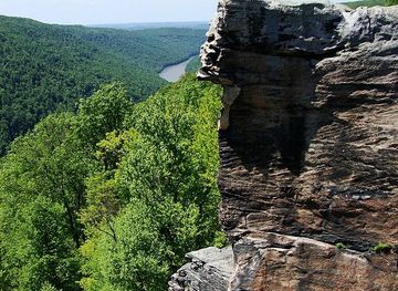 File:Cooper's Rock State Forest.JPG - Wikimedia Commons
