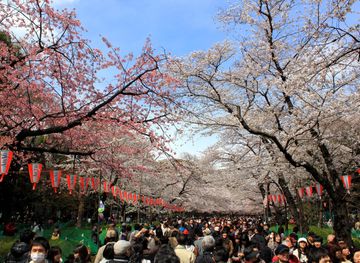 Ueno